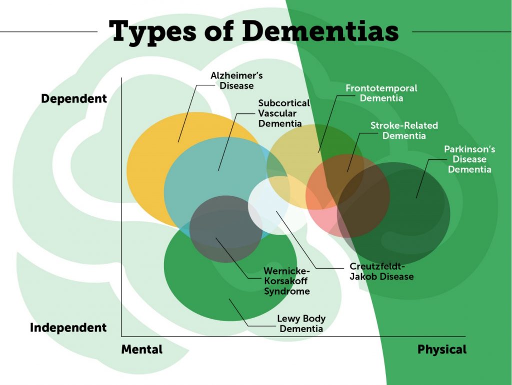 A New Paradigm for Alzheimer’s and Dementia Care